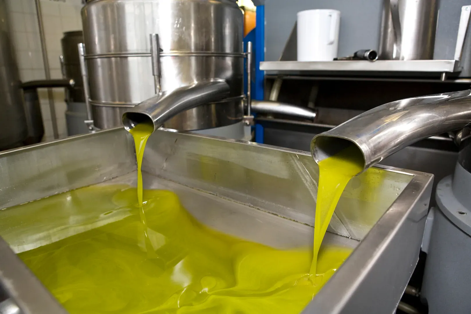 Olive mill separator equipment in production facility